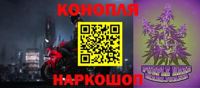 МДПВ Бийск