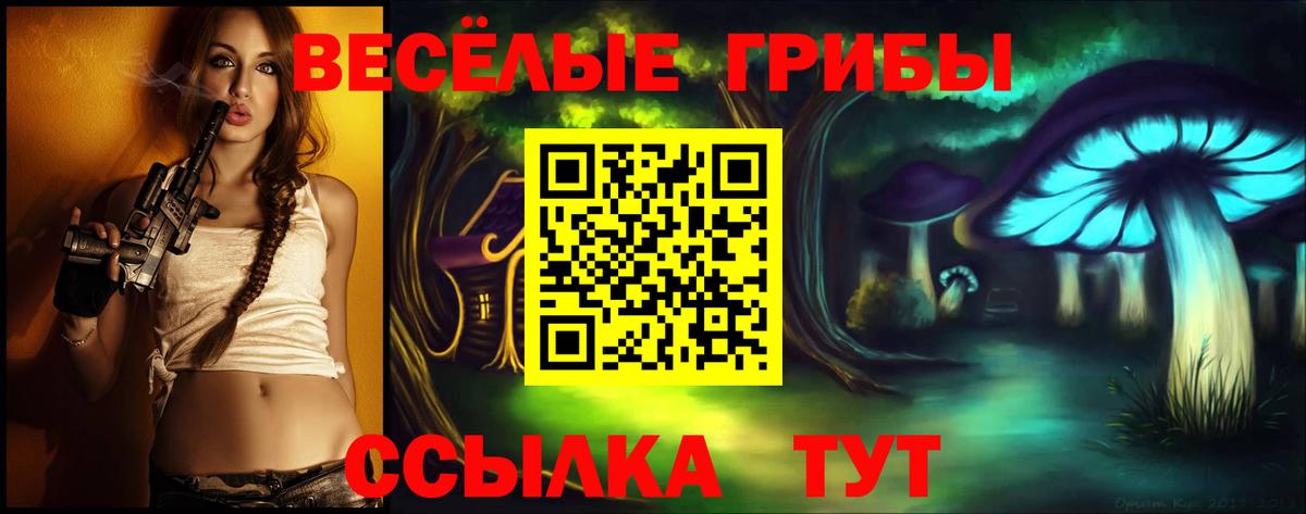 Галлюциногенные грибы прущие грибы Кизляр